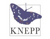 Knepp Swallows Ltd